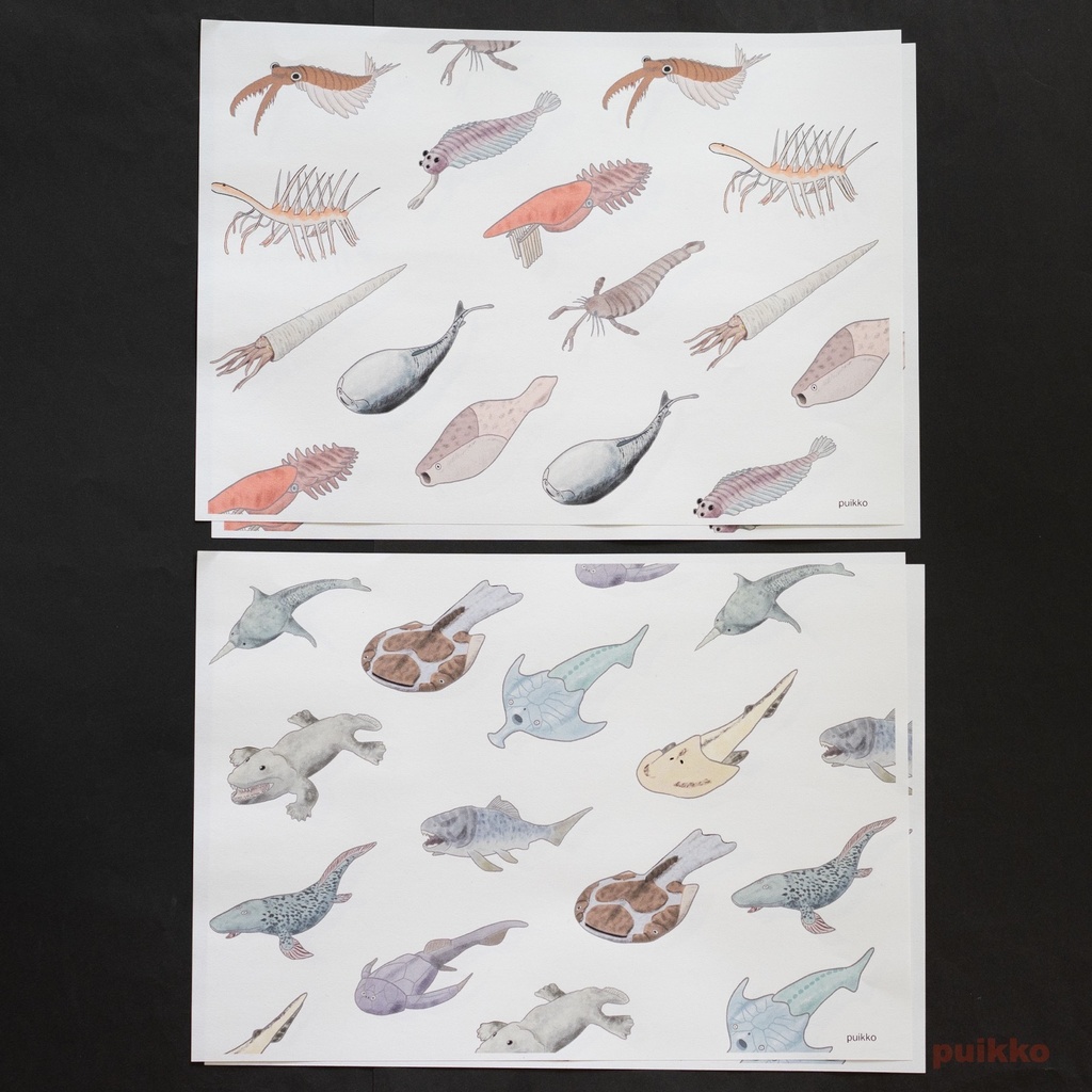 紙製ブックカバー 古生代の生物(カラー)(6枚セット)