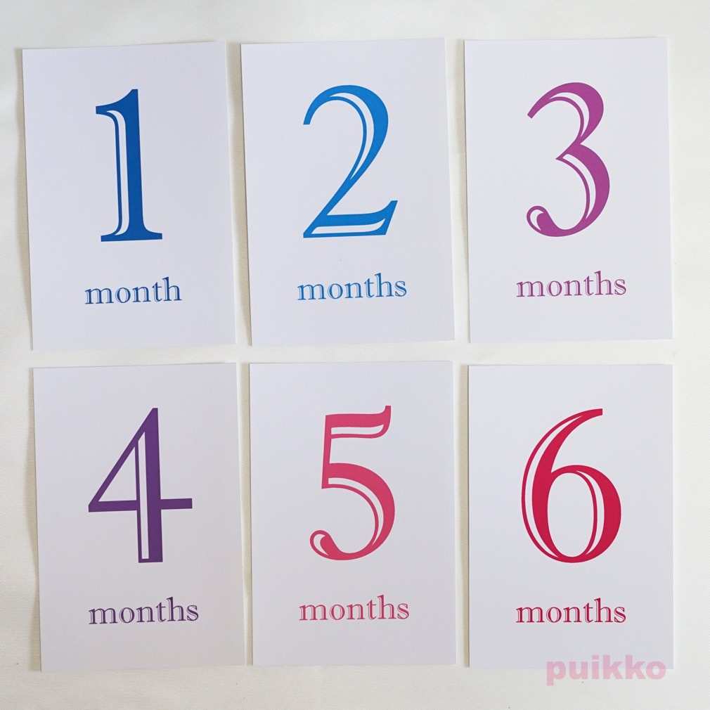 ベビーマンスリーカード Shadow