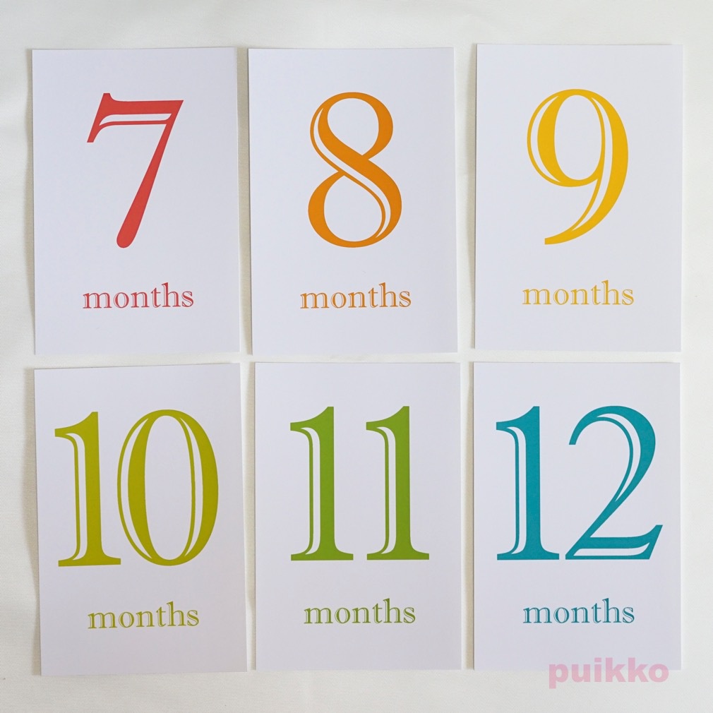 ベビーマンスリーカード Shadow