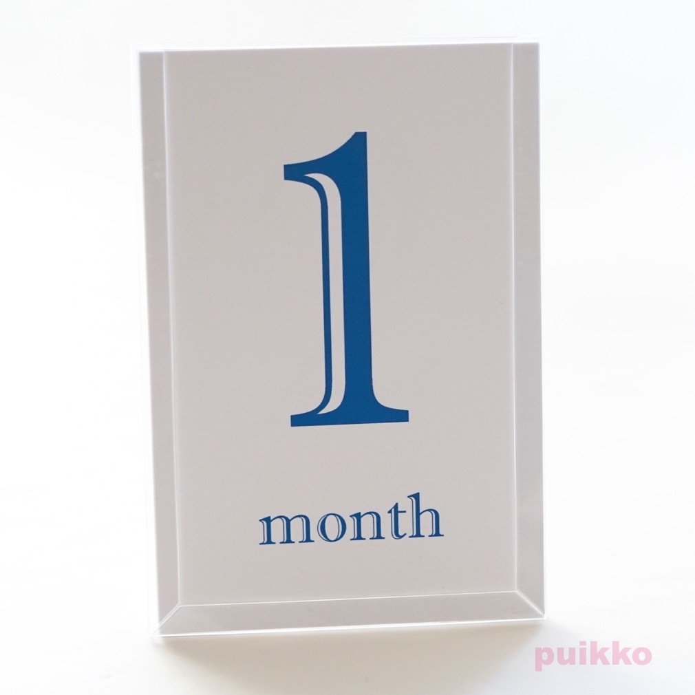 ベビーマンスリーカード Shadow