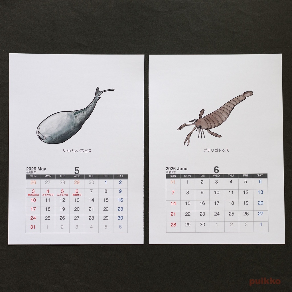 カレンダー 2026年 古生代の生物(A5判・壁掛けタイプ)