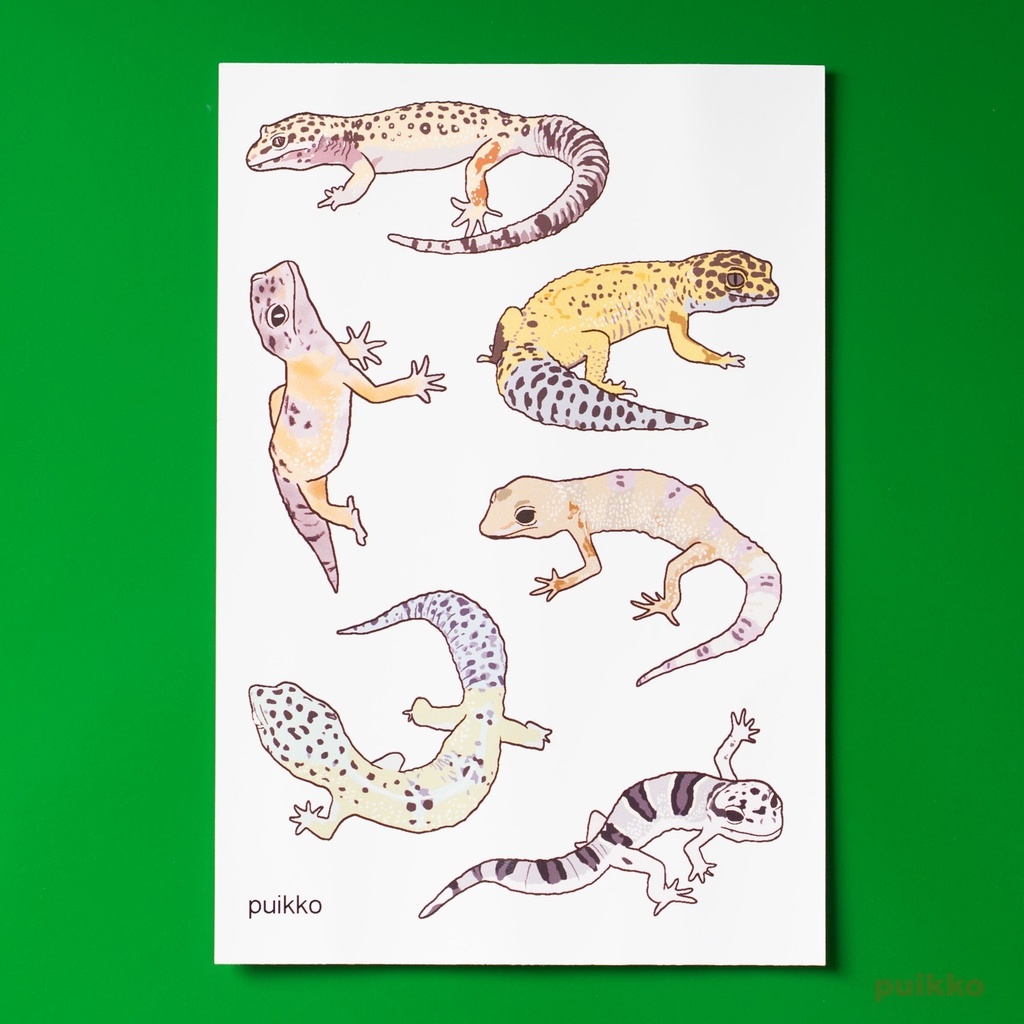 タトゥーシール レオパードゲッコー2