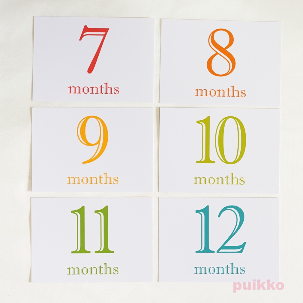 ベビーマンスリーカード Shadow(L判)