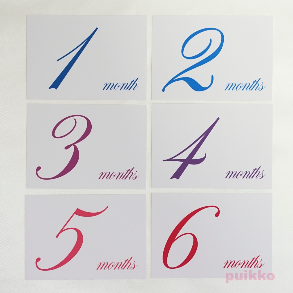 ベビーマンスリーカード Nautica(L判)