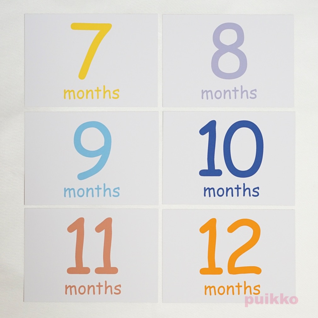 ベビーマンスリーカード ComicSans(L判)