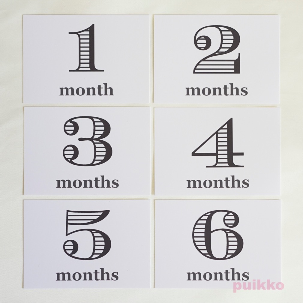 ベビーマンスリーカード モノトーン(L判)