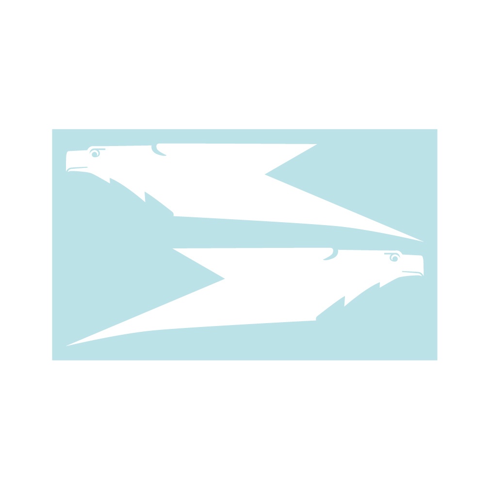 ミリタリーステッカー フォッケウルフ イーグルヘッド(2片)