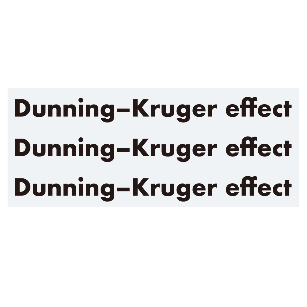 ステッカー 英語「ダニング=クルーガー効果」(3片)