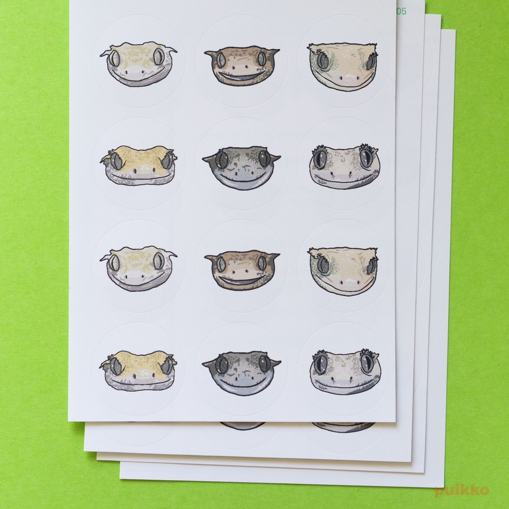 丸シール30mm クレステッドゲッコーの正面顔