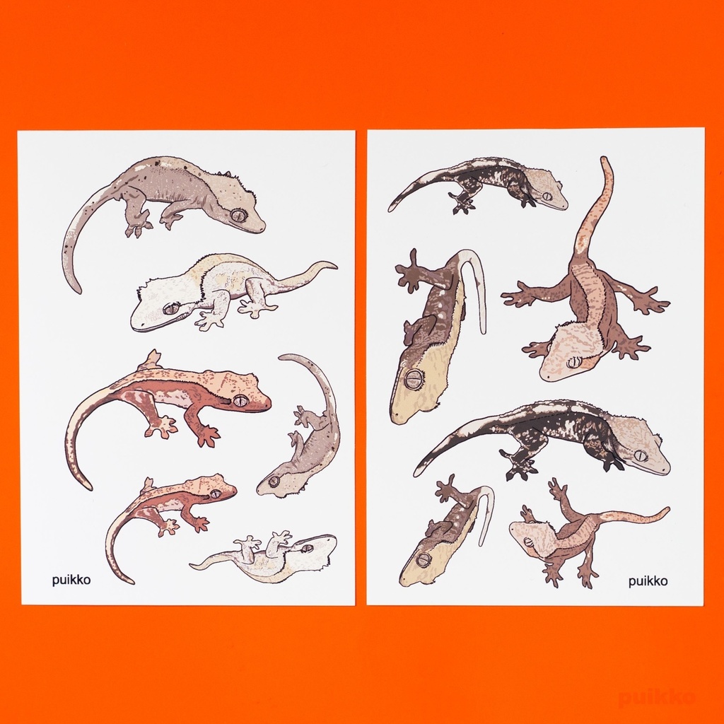 シール　クレステッドゲッコー（A5判x2）
