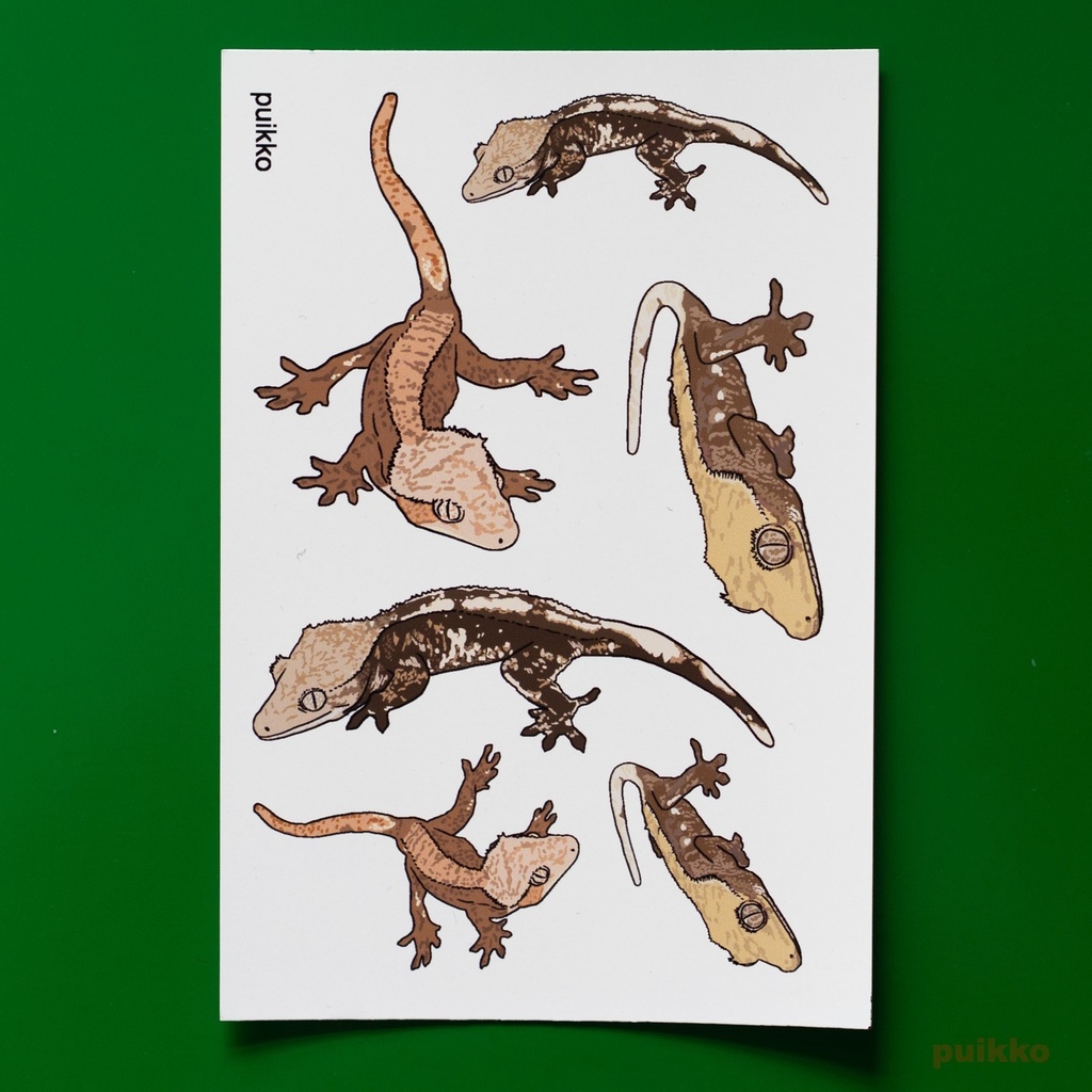 タトゥーシール　クレステッドゲッコー2