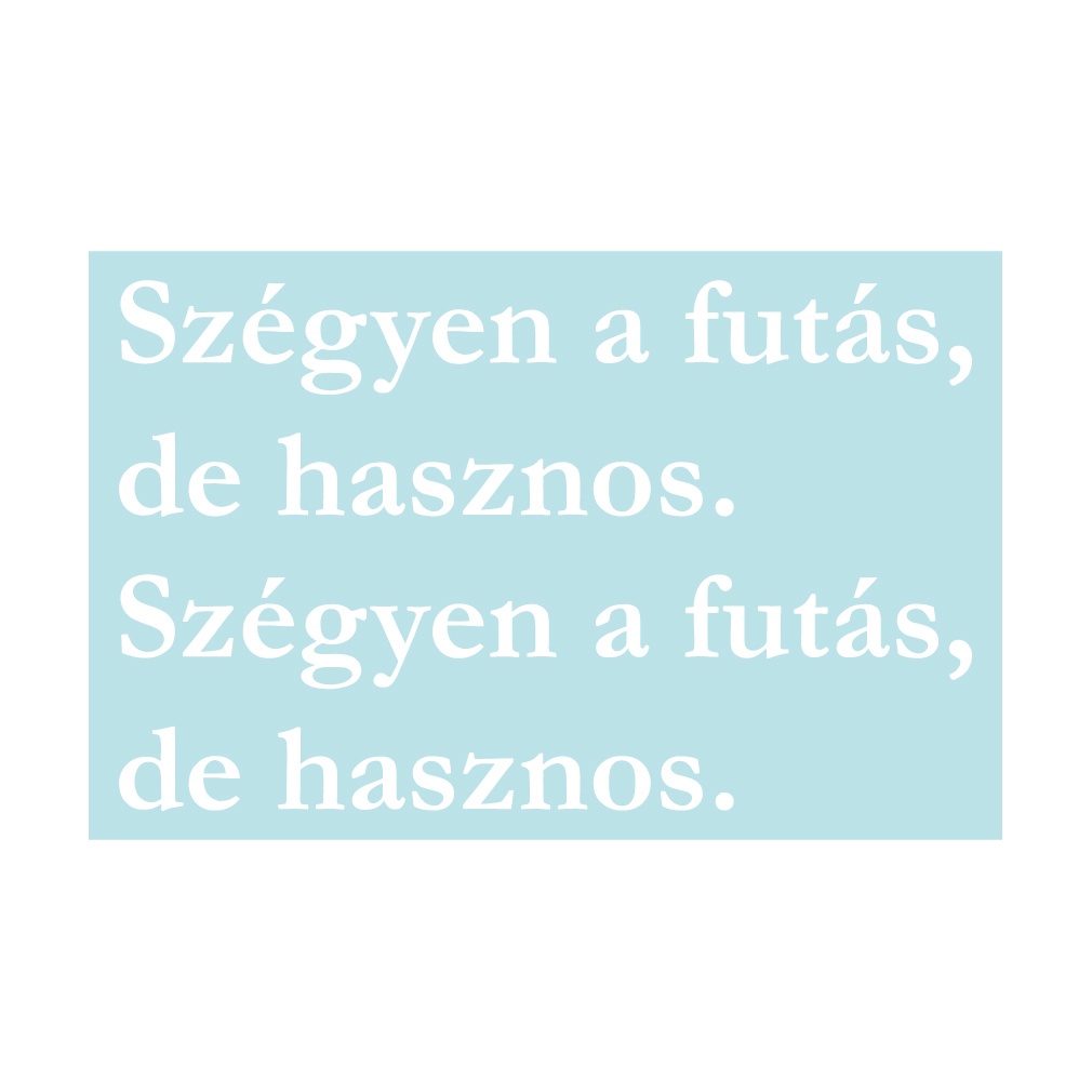 ステッカー ハンガリー語「逃げるは恥だが役に立つ」(2片)