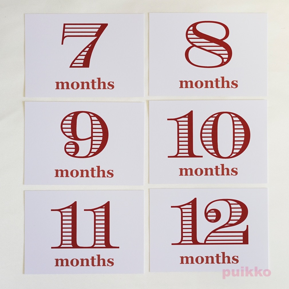 ベビーマンスリーカード モノトーン2(L判)