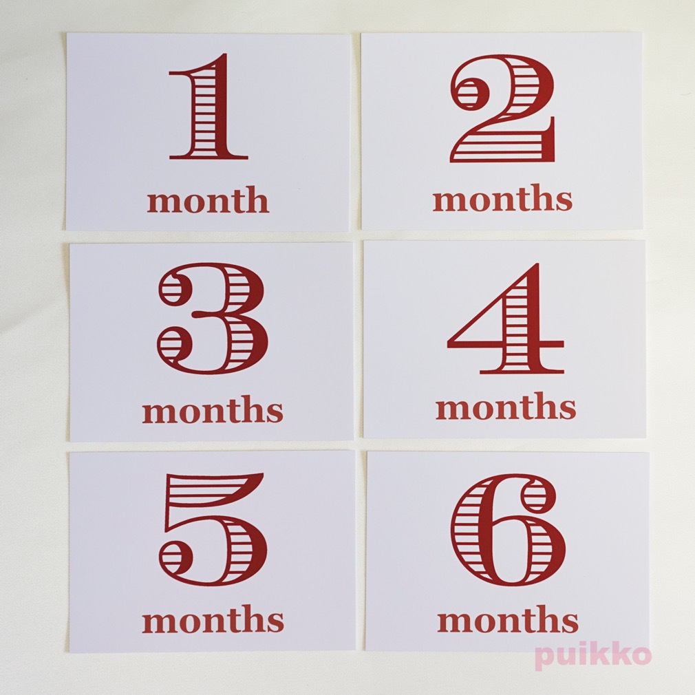 ベビーマンスリーカード モノトーン2(L判)