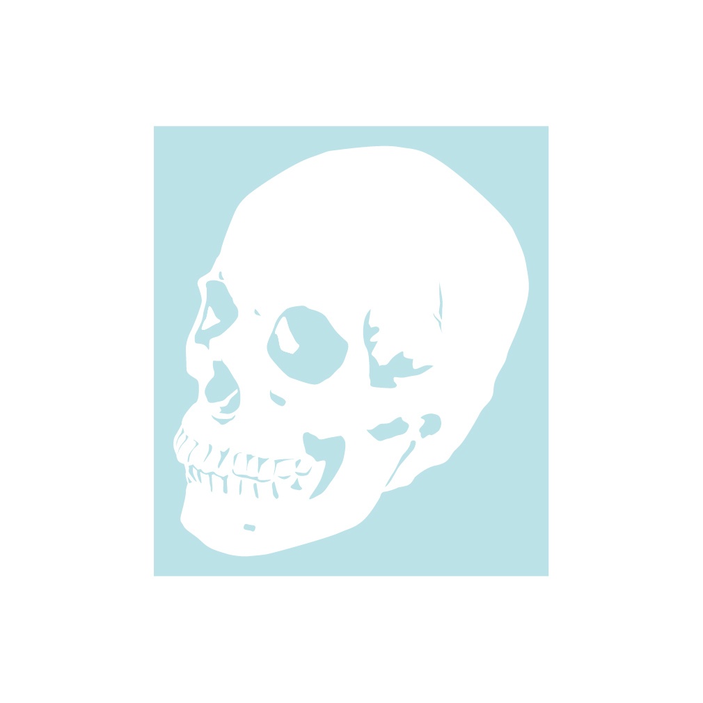 ステッカー 髑髏