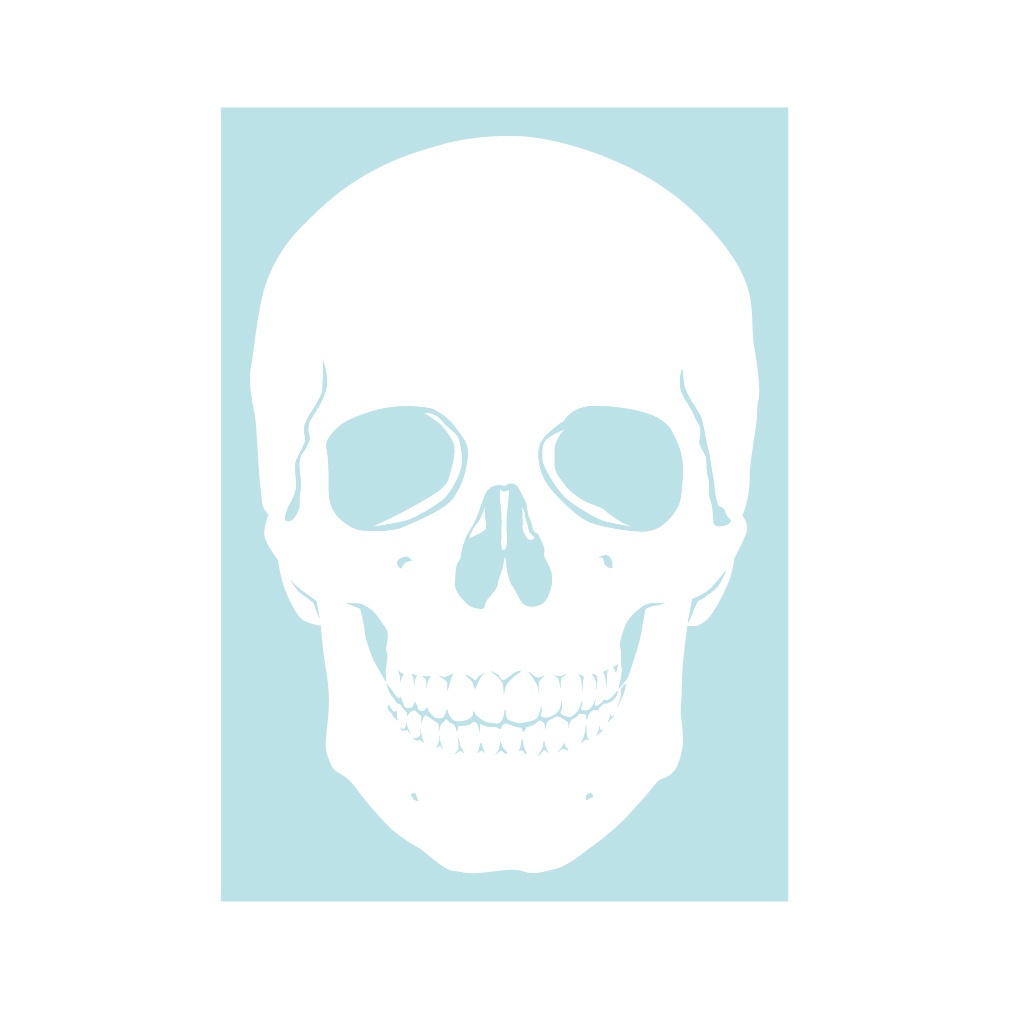 ステッカー 髑髏2