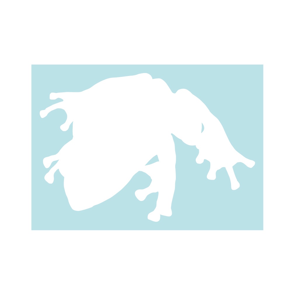 ステッカー モリアオガエル