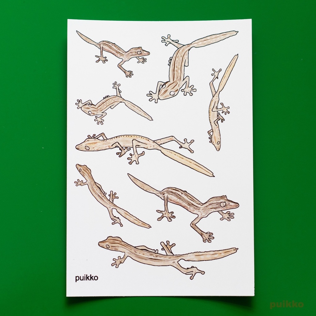 タトゥーシール スジヘラオヤモリ