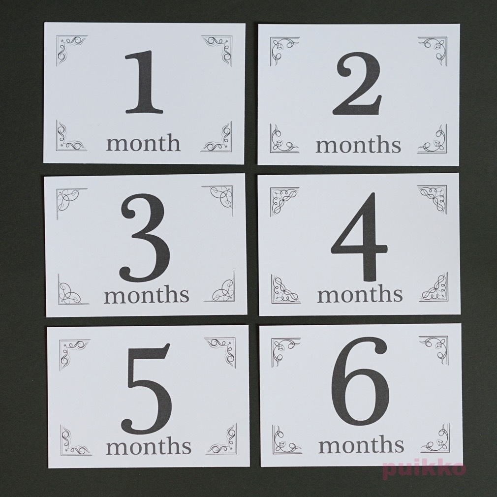 ベビーマンスリーカード レトロ飾り罫(L判)