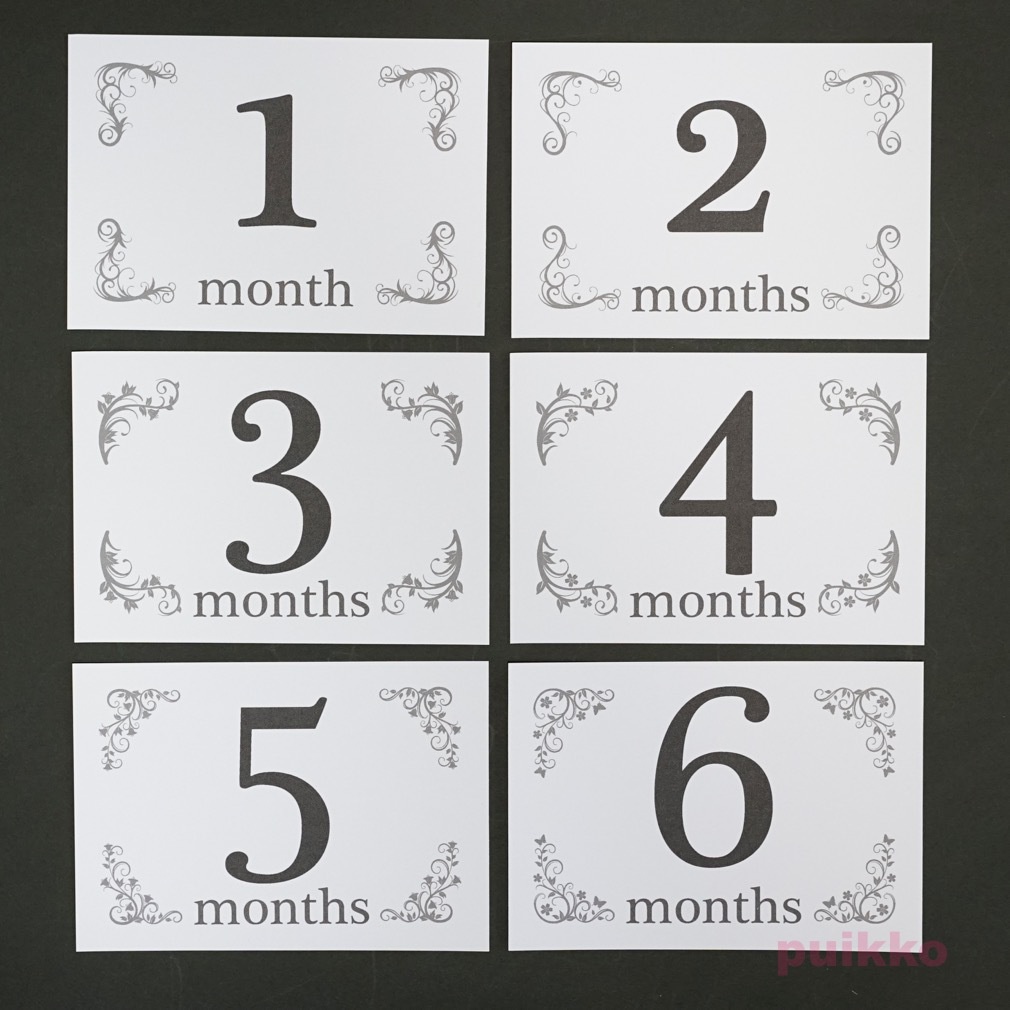 ベビーマンスリーカード 花の飾り罫(L判)