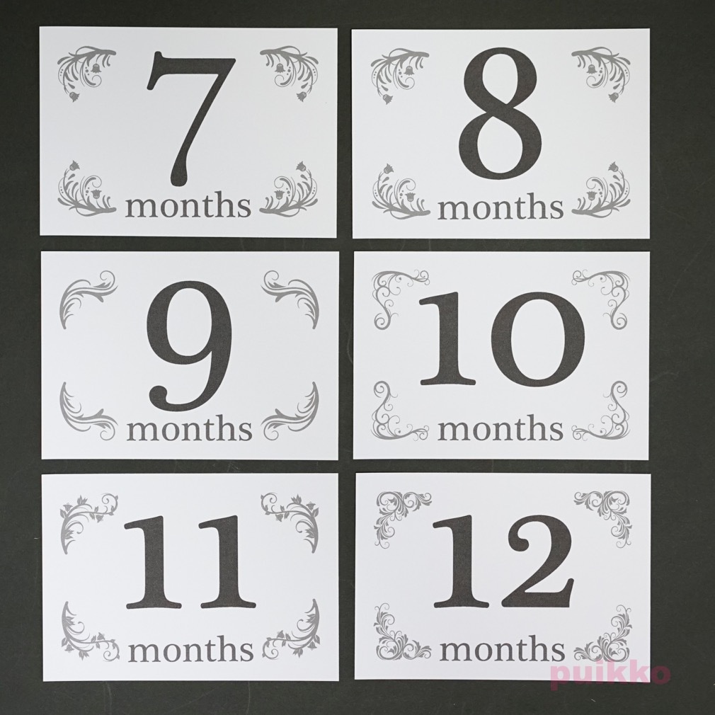 ベビーマンスリーカード 花の飾り罫(L判)