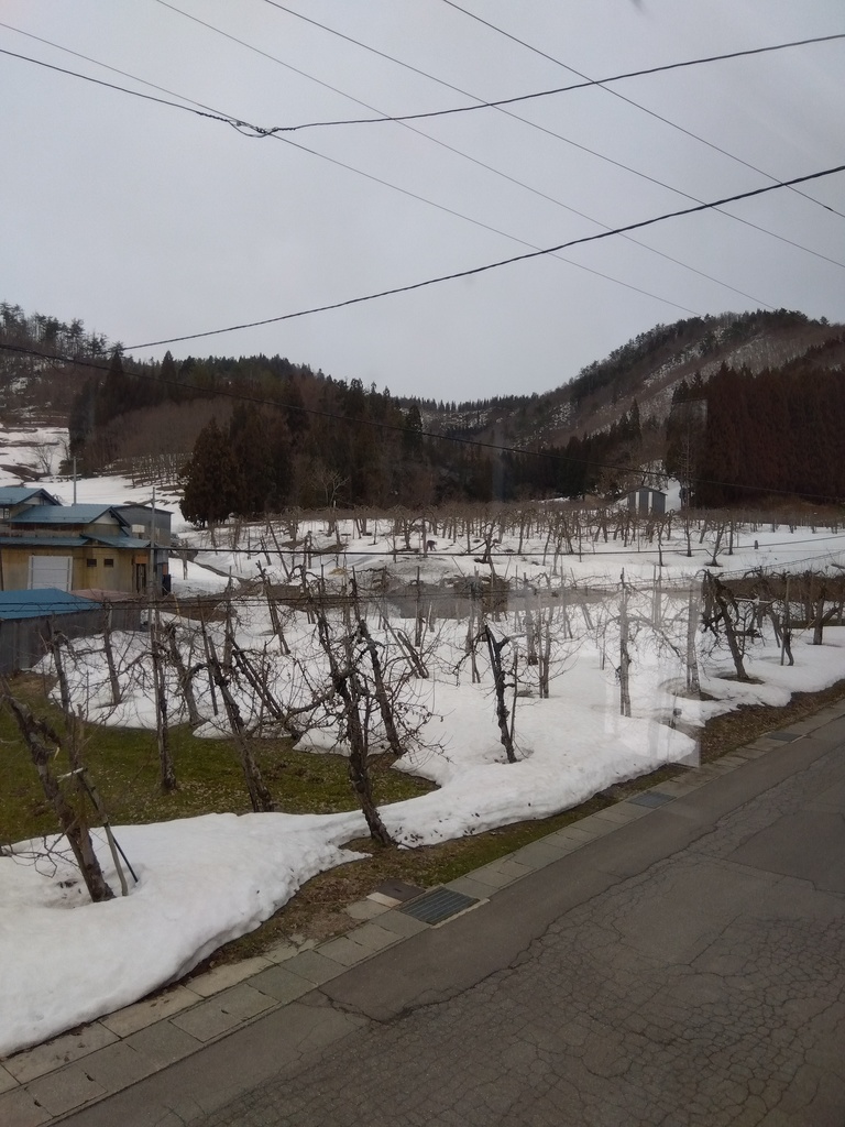 昼の住宅街から田んぼ道へ、ただ43分歩いた音【環境音 / 作業用BGM / 散歩】