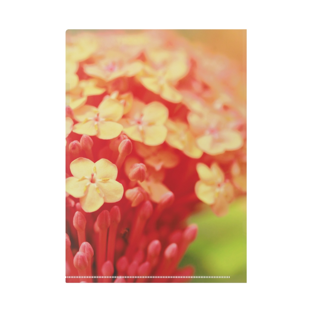 みっさん☆クリアファイル