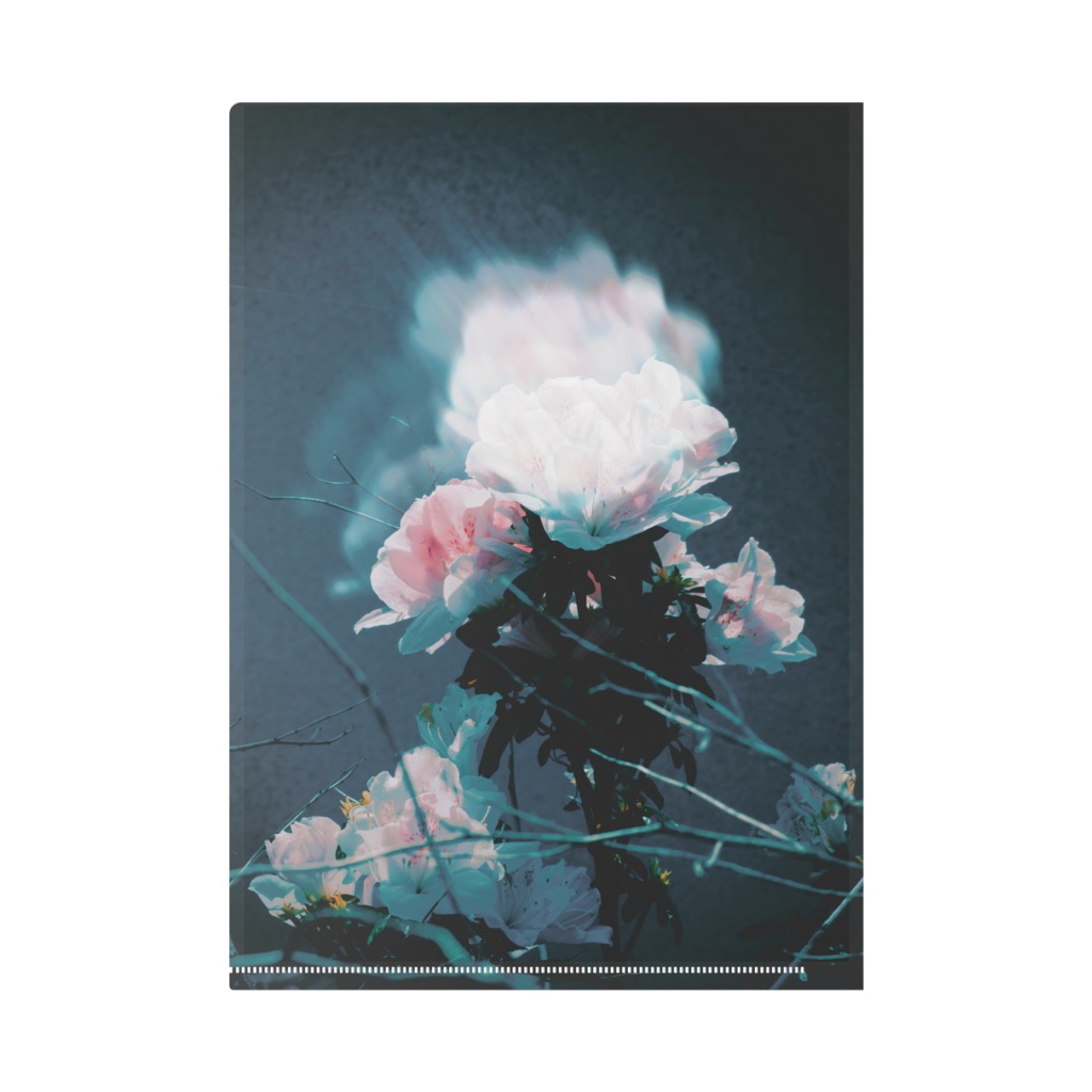 春、ひとひら。