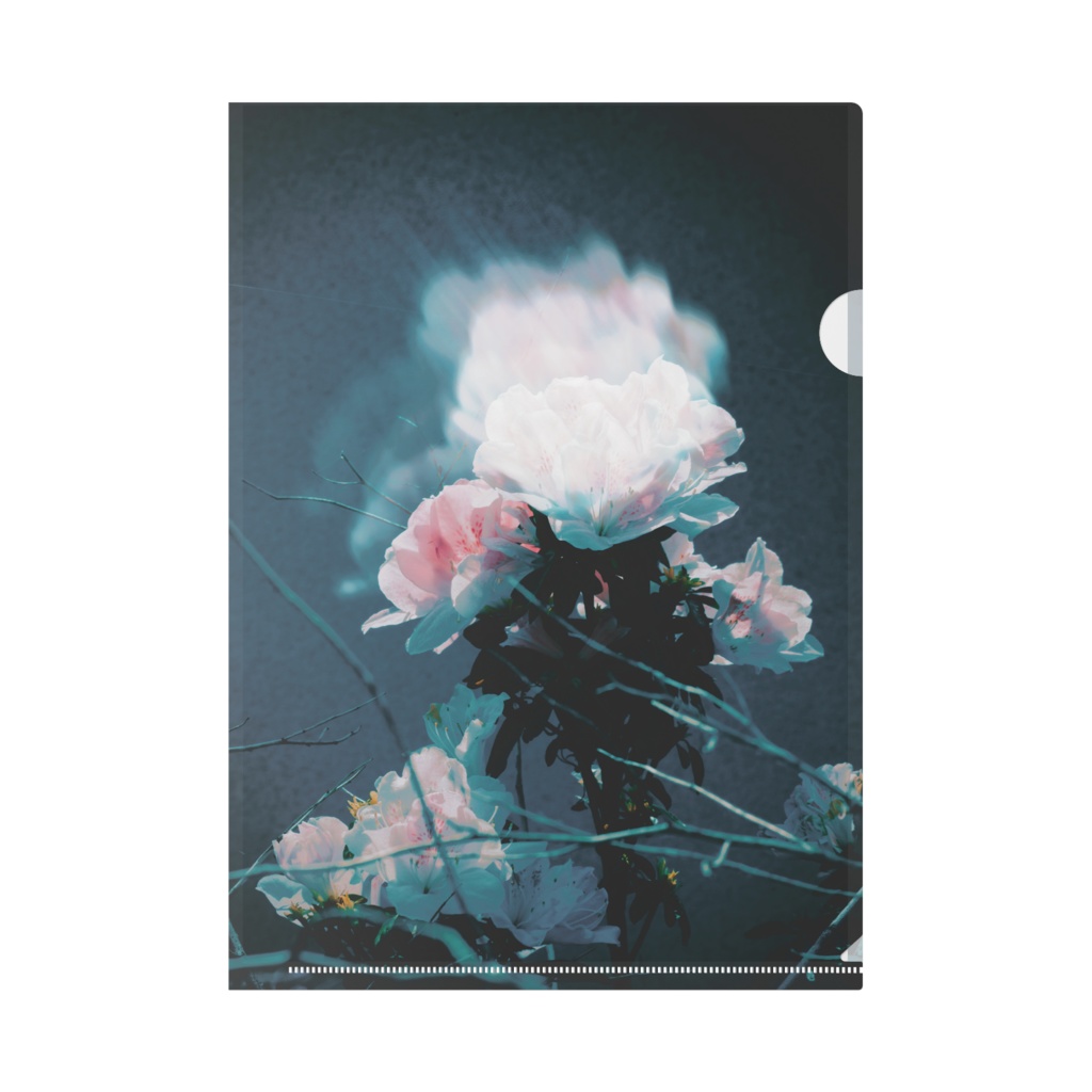 春、ひとひら。