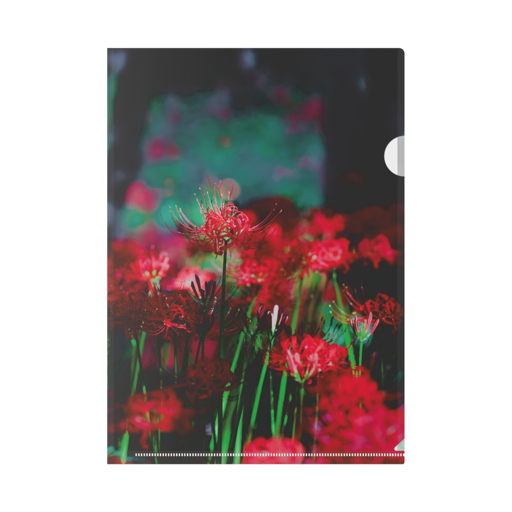 赤き、誘惑。②｜Birthday Limited Edition 2026