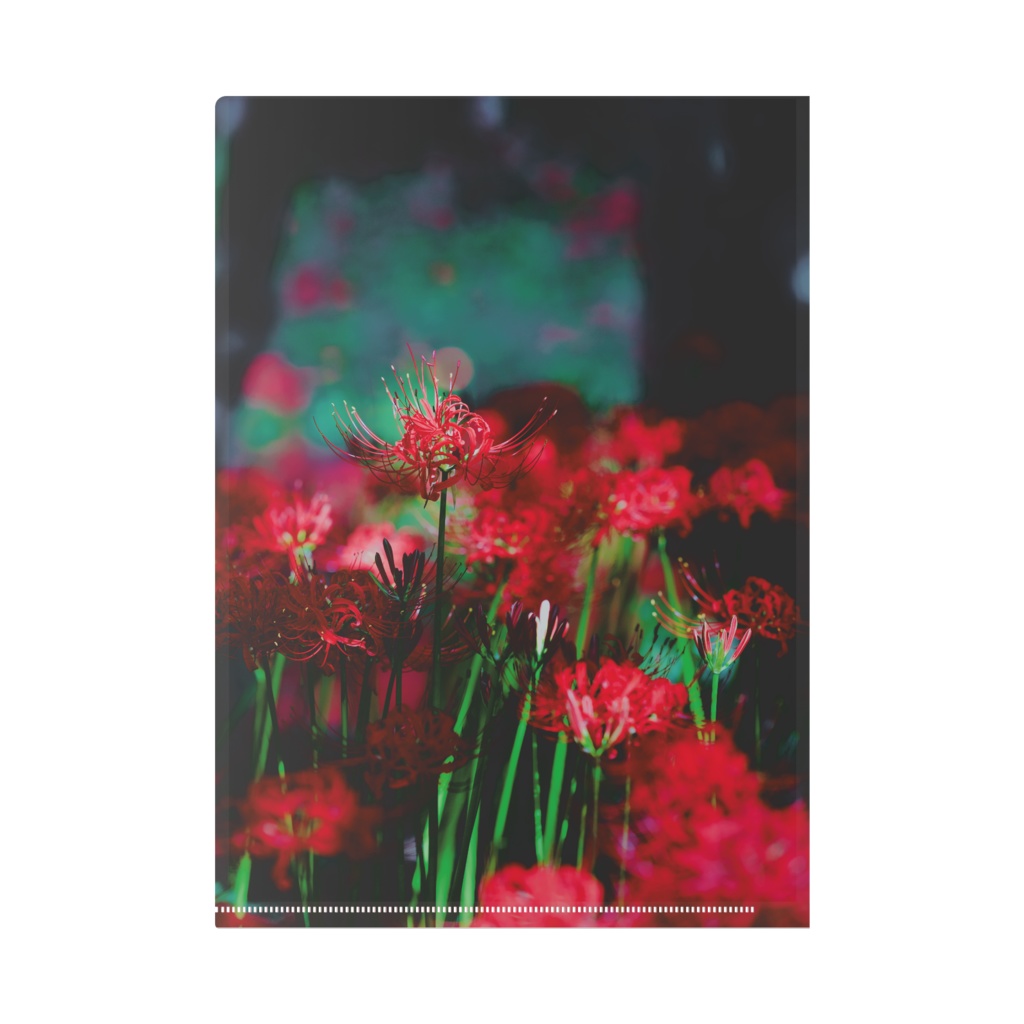 赤き、誘惑。②|Birthday Limited Edition 2026