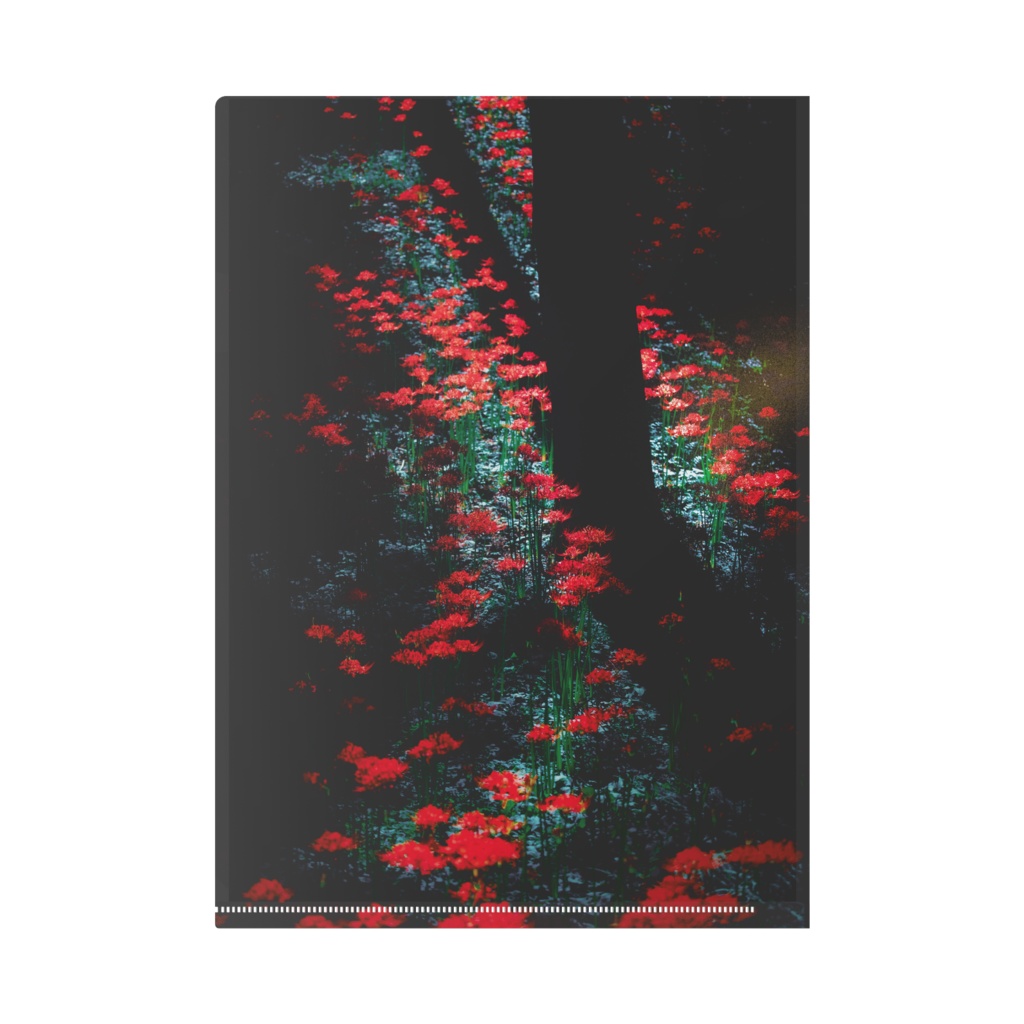 赤き、誘惑。| Birthday Limited Edition 2026 ③