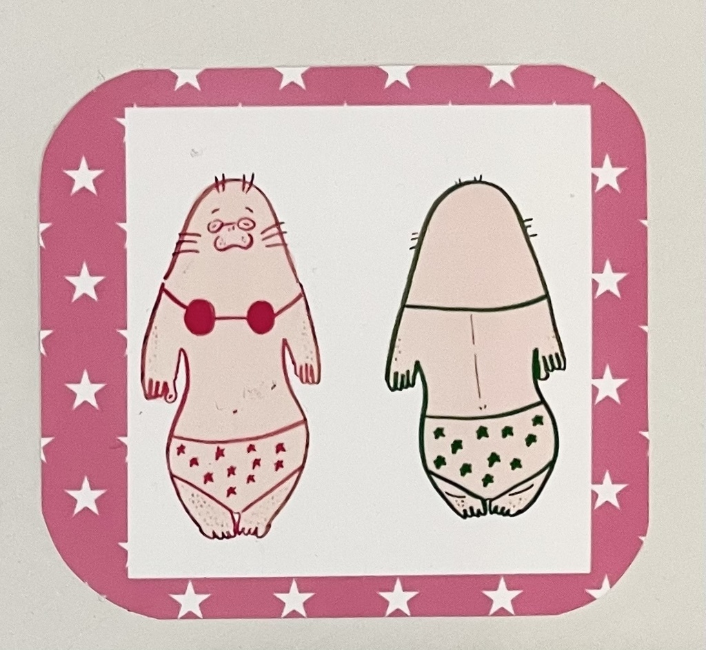 【ステッカー】まむアザラシ ※5cm✖️５cmくらい