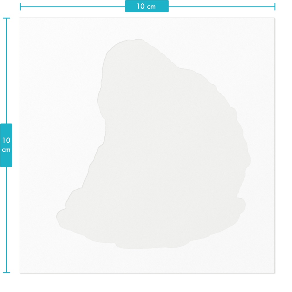 【動物シリーズ】ショウハナジログエノン