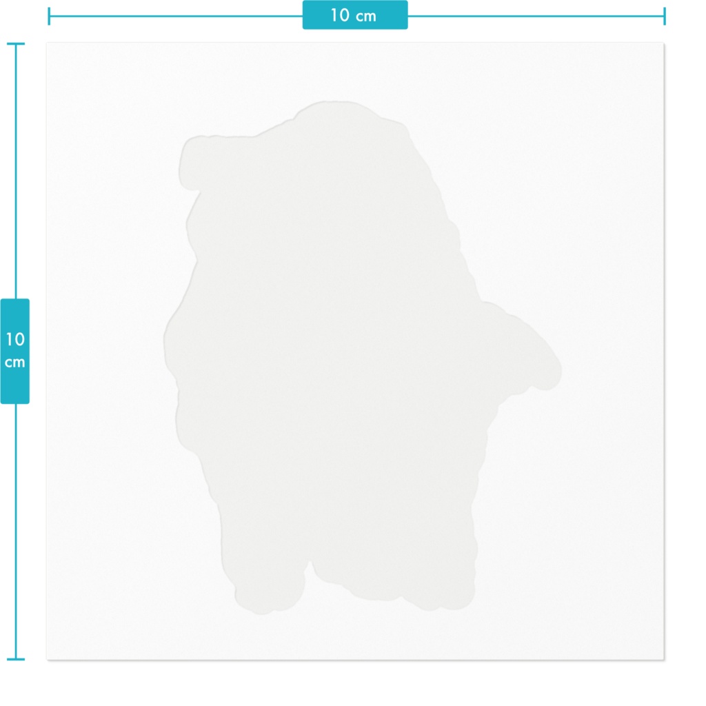 【動物シリーズ】アグー