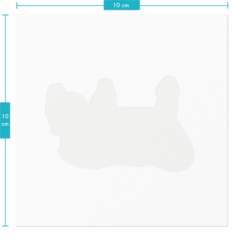 【動物シリーズ】ナマケモノ