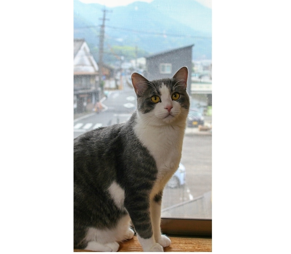 おもちくん②