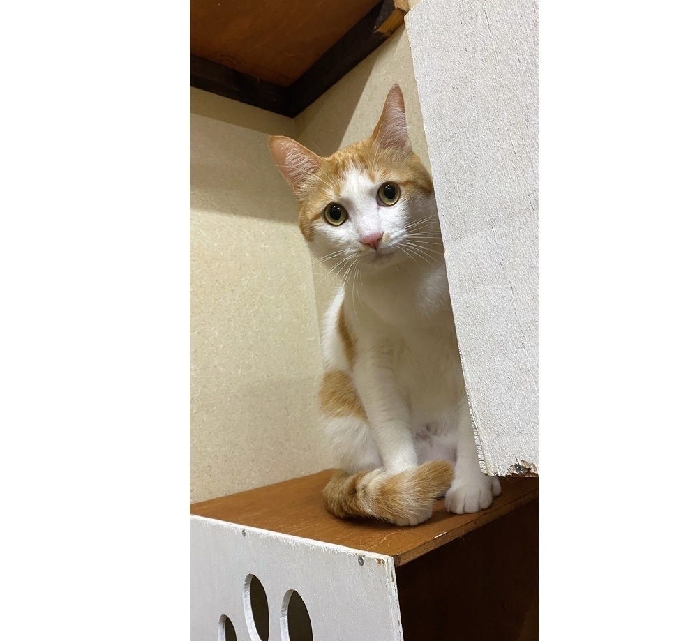 すこし警戒？