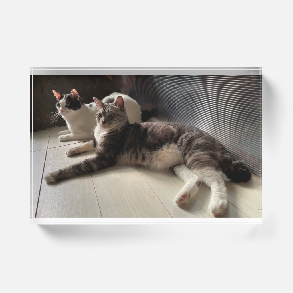 シカマルナルトアクリルブロック