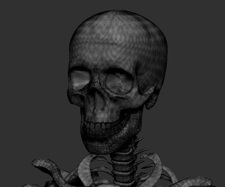 【ZBrush】スケルトン 3Dモデル(他ソフトでの使用可)