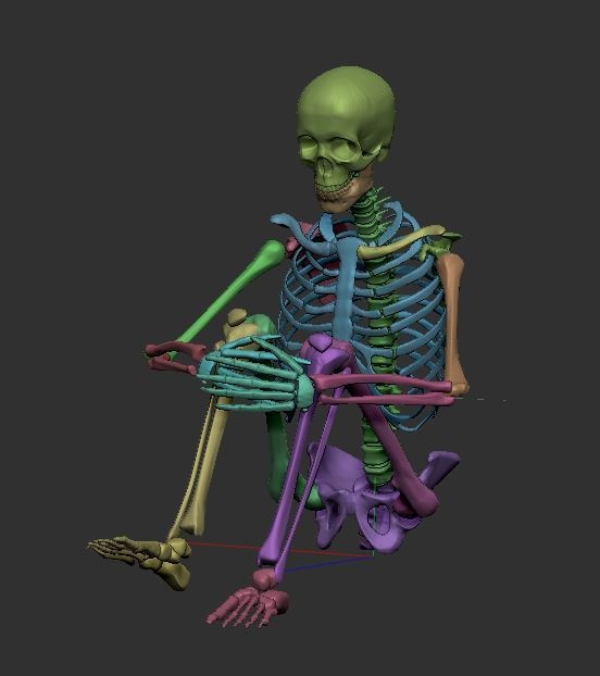 【ZBrush】スケルトン 3Dモデル(他ソフトでの使用可)