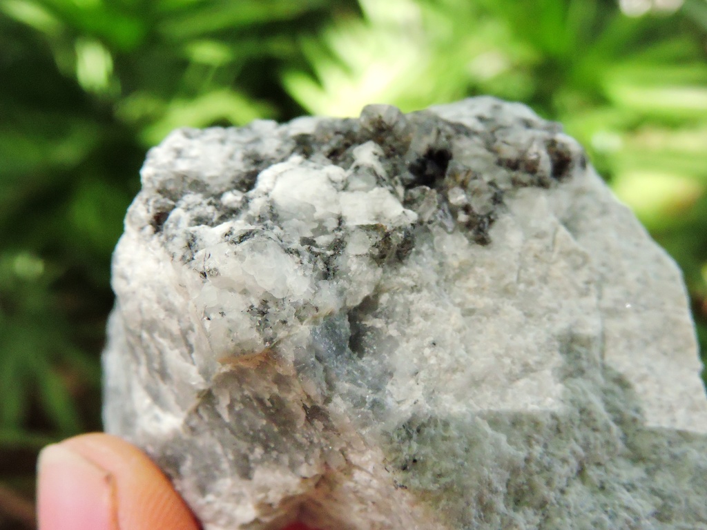 黒×白の美コントラスト✨トチリナイト原石 標本【フィンランド・希少鉱物】