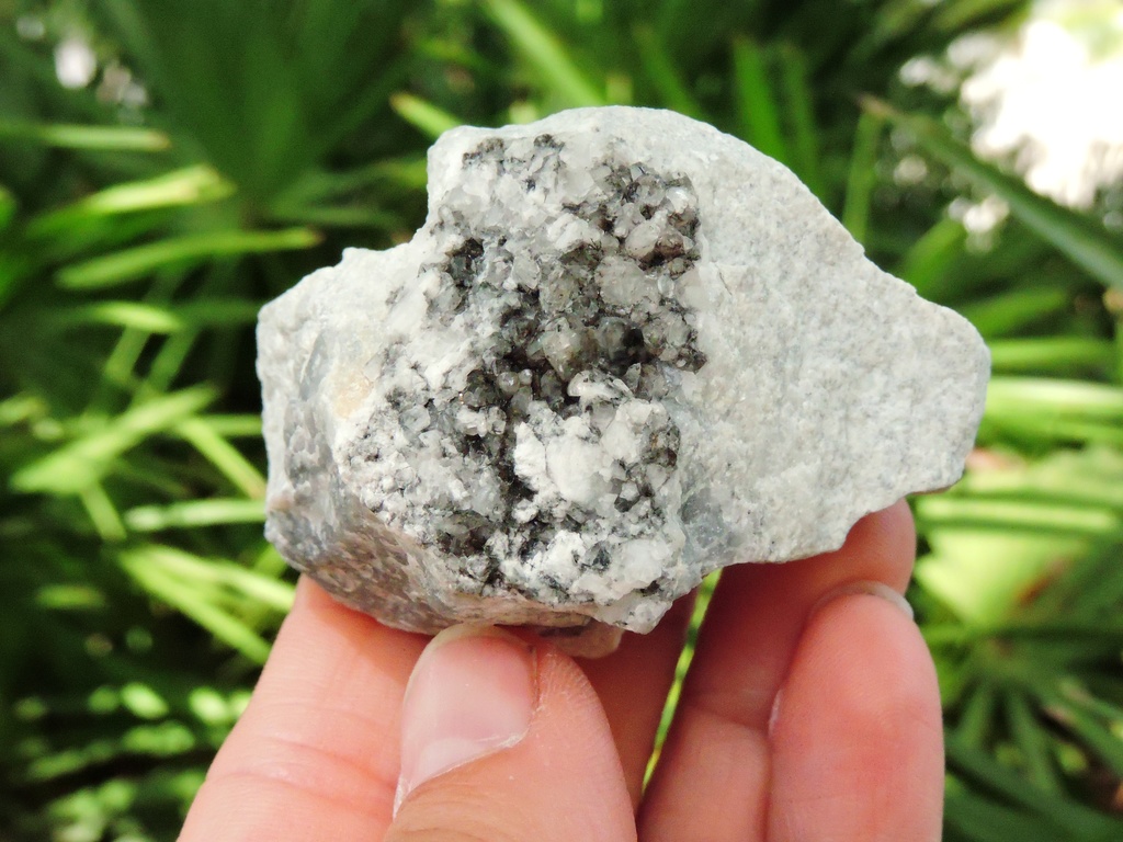 黒×白の美コントラスト✨トチリナイト原石 標本【フィンランド・希少鉱物】