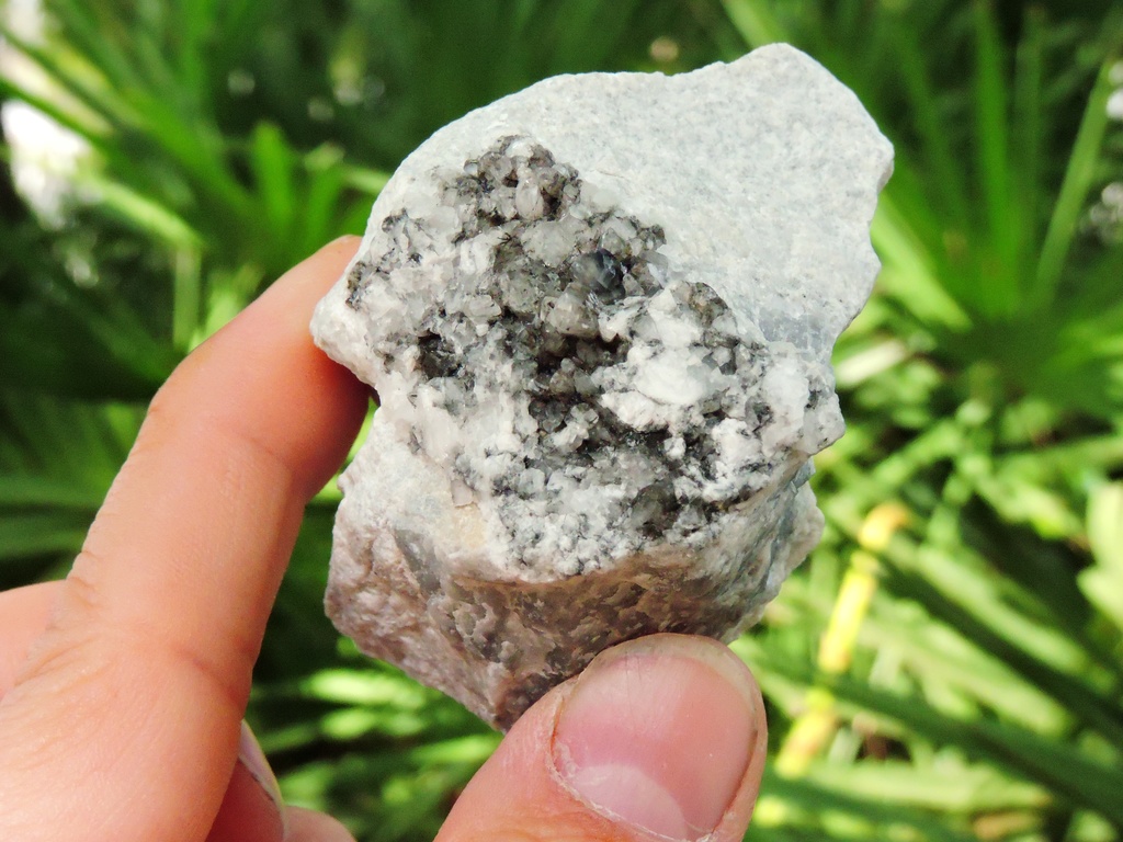 黒×白の美コントラスト✨トチリナイト原石 標本【フィンランド・希少鉱物】