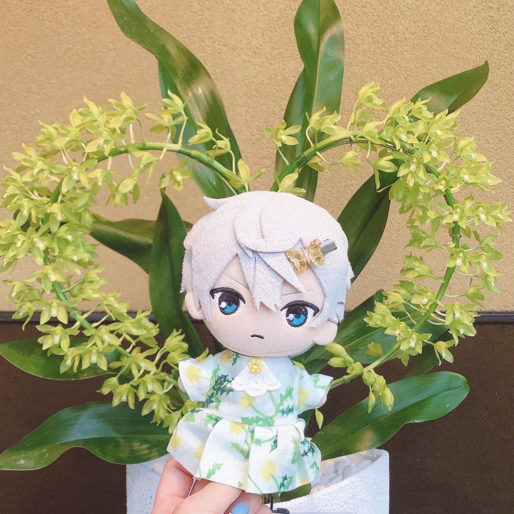 たんぽぽワンピース💛(4月)