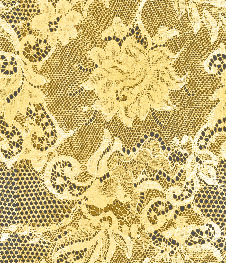 【5個種類セット】【41カラー】4K レーステクスチャ【セットA】 【5TexturePiece Set】4K Lace Fabric Textures