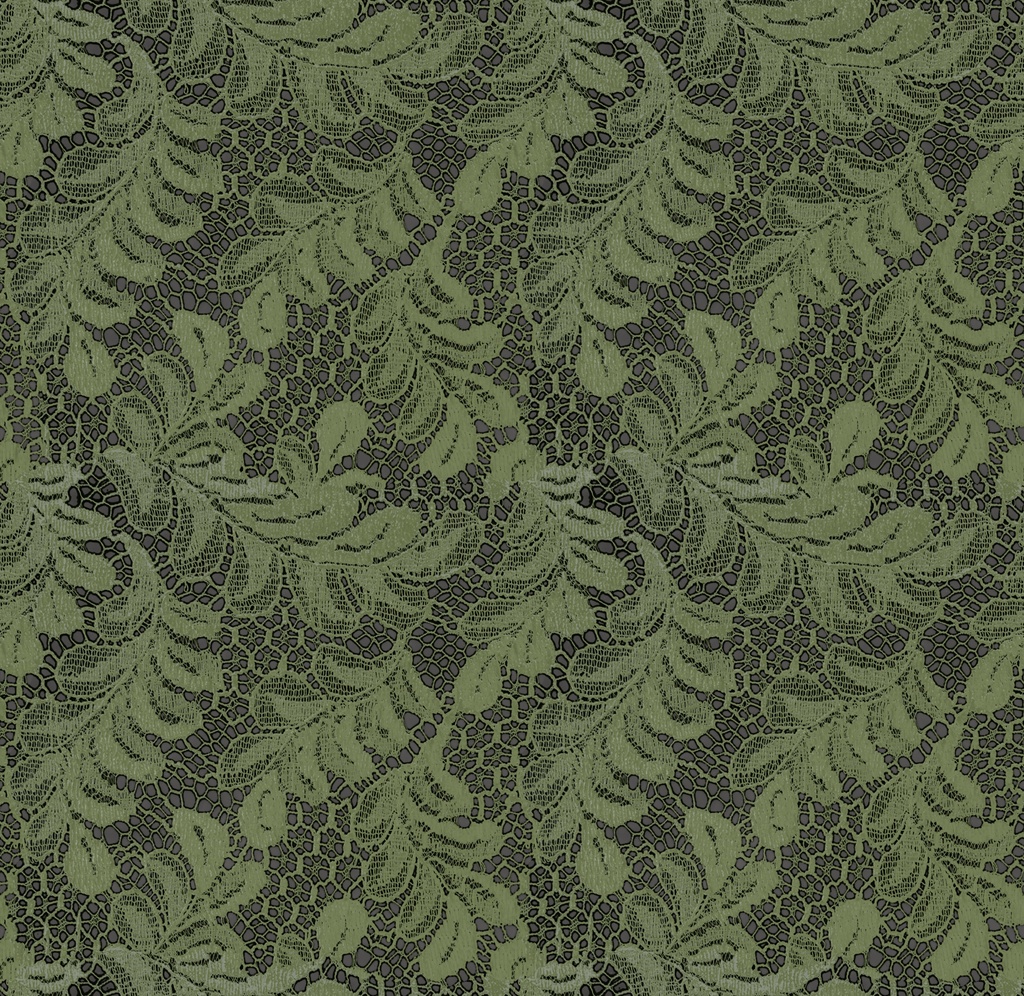 【5個種類セット】【41カラー】4K レーステクスチャ【セットA】 【5TexturePiece Set】4K Lace Fabric Textures