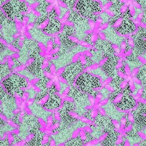 Lace UnityPacage1K・2K・4K20個セット(Build URP HDRP)AAFR00001_AAF00020