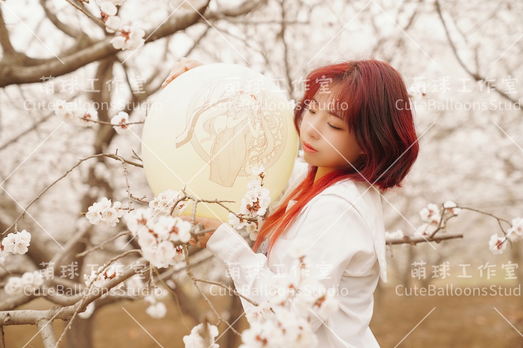 【現物】フータオ