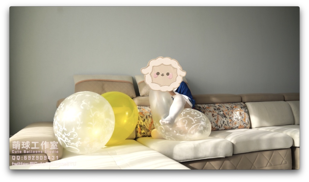 小さなサメがPOPQL24